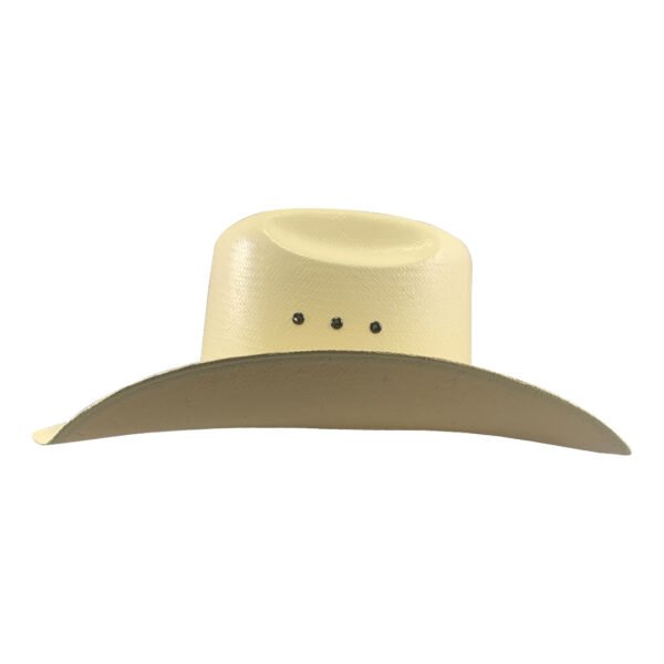 15X Ranger Laqueado - Imagen 2